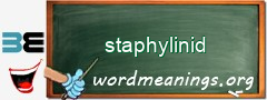 WordMeaning blackboard for staphylinid